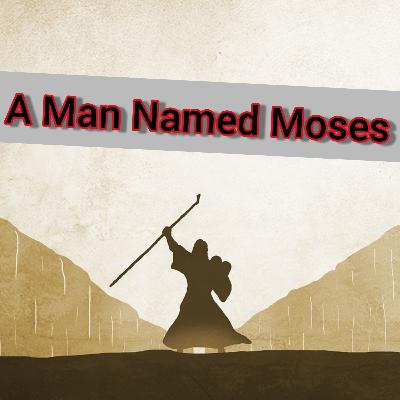 A Man Named Moses A Man Named Moses