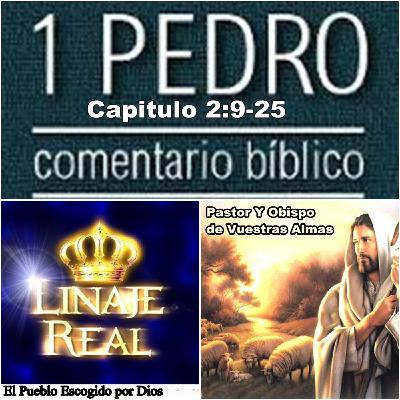 05-El Pueblo Escogido por Dios.mp3