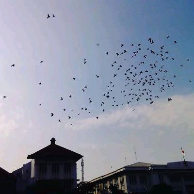 Someone special Someone special