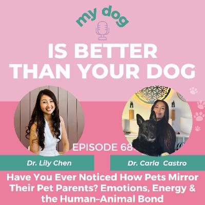 Have You Ever Noticed How Pets Mirror Their Pet Parents? Emotions, Energy & the Human–Animal Bond w/ Dr. Carla Castro, DVM Have You Ever Noticed How Pets Mirror Their Pet Parents? Emotions, Energy & the Human–Animal Bond w/ Dr. Carla Castro, DVM