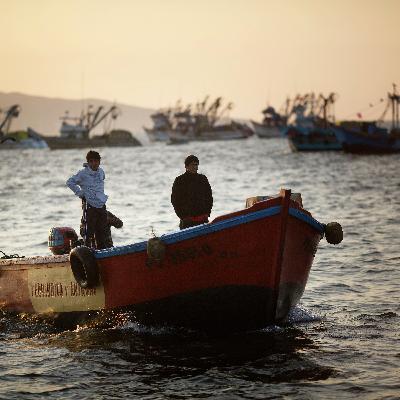 Peru's nature reserve at risk: Supreme court set to rule on industrial fishing
