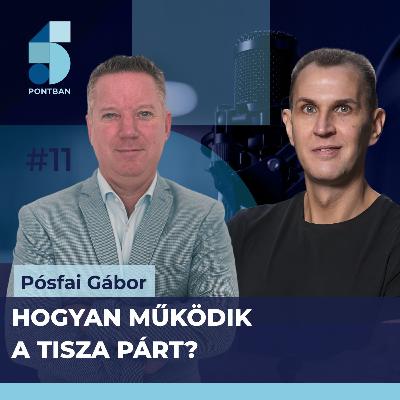 "Amit Magyar Péter csinál, senki más nem tudná utánacsinálni"