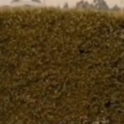 Conversation with friend