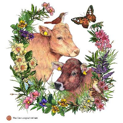 Cornucopia Institute and the State of Organic