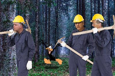 Lost Season 3 Epsidoes 13-15