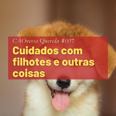 CÃOversa Querida #007 - Cuidados com filhotes e outras coisas CÃOversa Querida #007 - Cuidados com filhotes e outras coisas