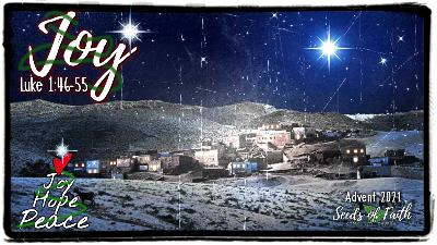 Joy - Advent Week #3