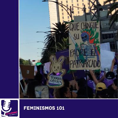 Feminismos 101