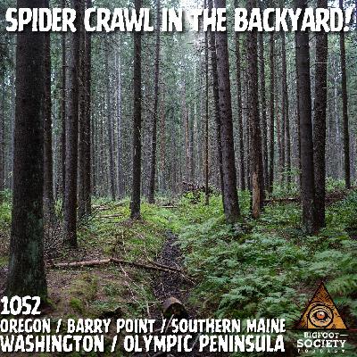 Spider Crawl Bigfoot in the Backyard!