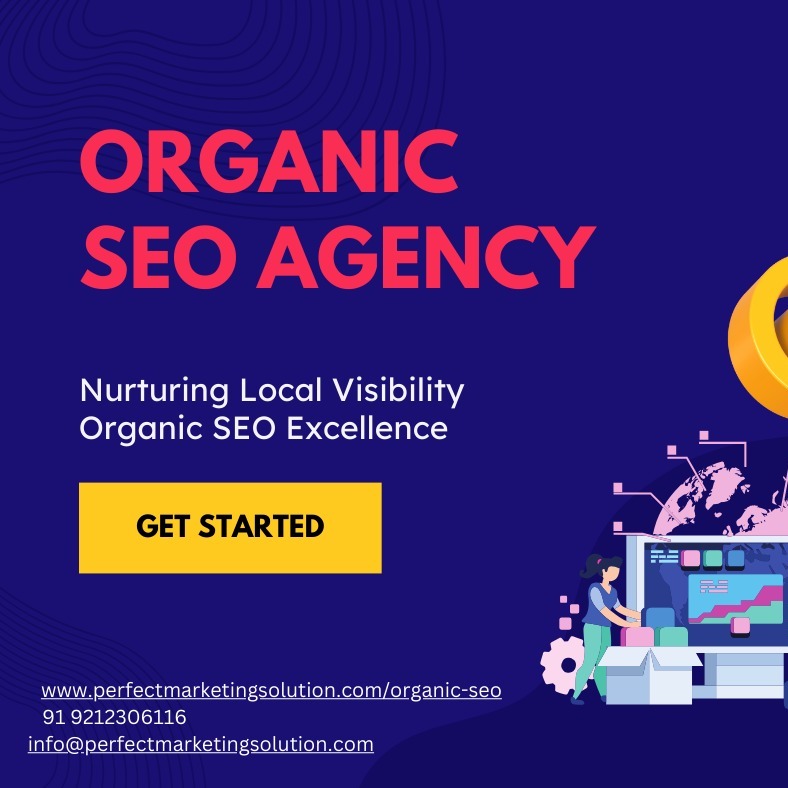 Ecommerce SEO packages