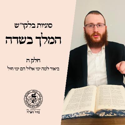סוגיות בלקו''ש: המלך בשדה - חלק ה / הר' מענדל פוטאש