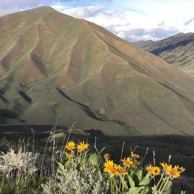 Keeping it real in the Wood River Valley with Tricia Dunne