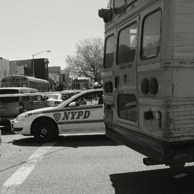 Schooled by Fear: The Controversial Role of Police in Educational Spaces