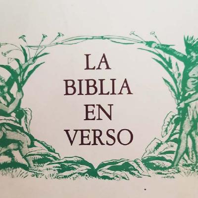 Should You Move To Latin America As A Digital Nomad? (Know This First!)