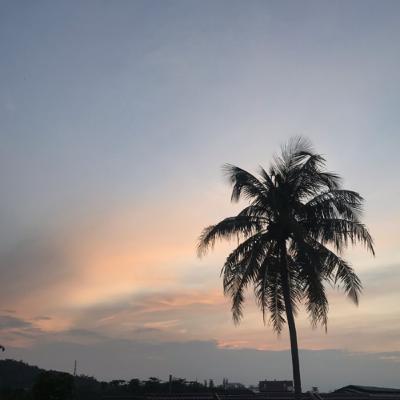 Mengagumimu dari jauh Mengagumimu dari jauh