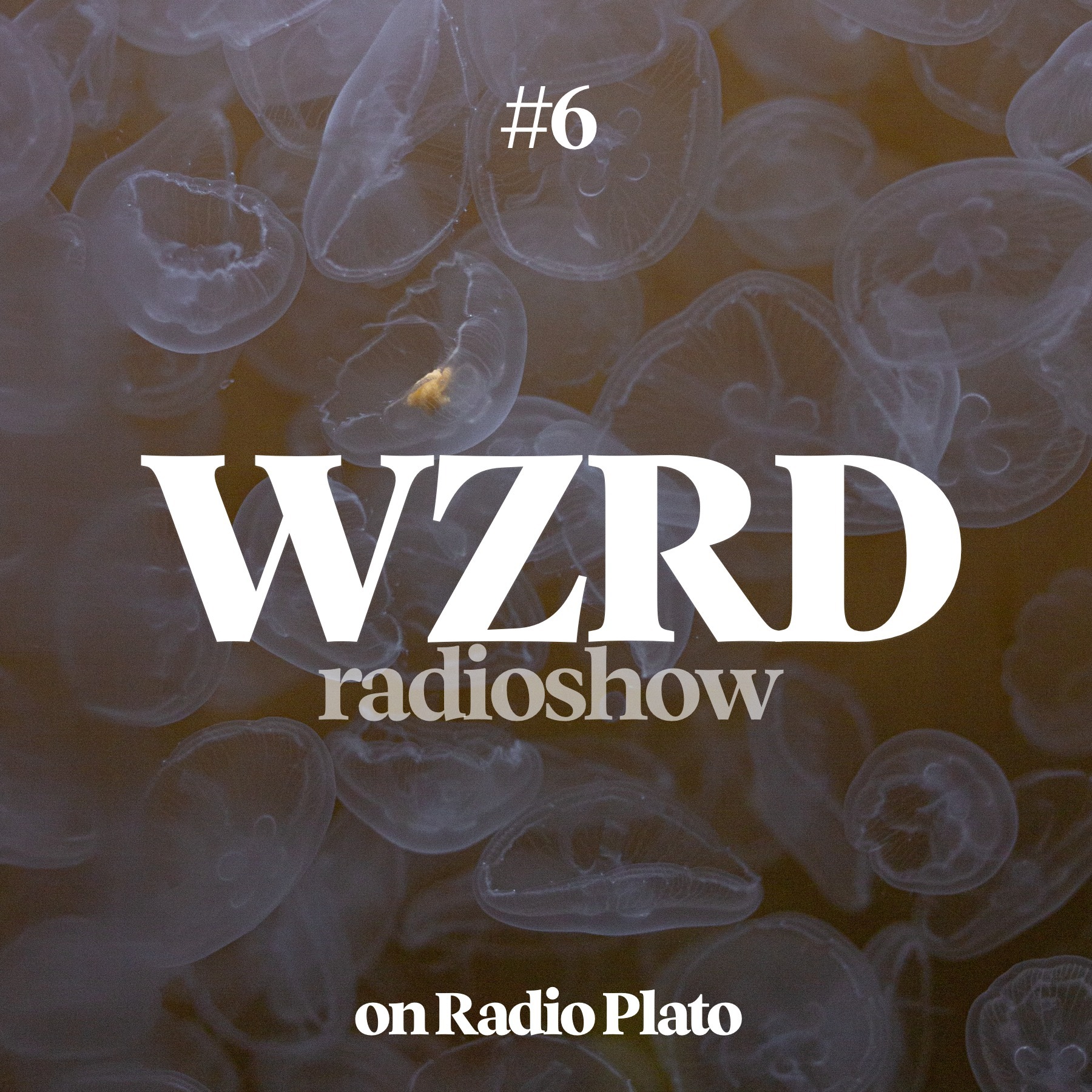 WZRD radioshow (hip-hop, r\'n\'b, neo-soul, future beats)