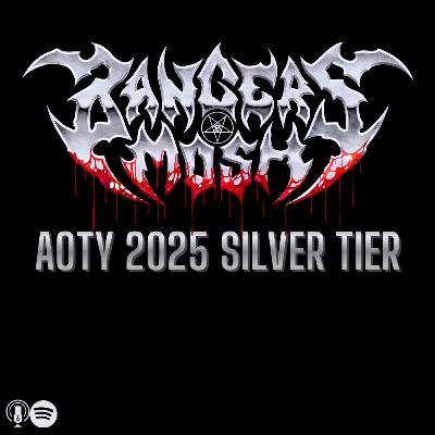 AOTY 2025 - Silver Tier