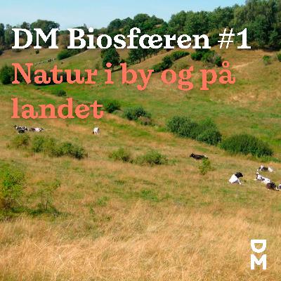 DM BIOsfæren #1: Giv naturen en chance – på landet og i byen
