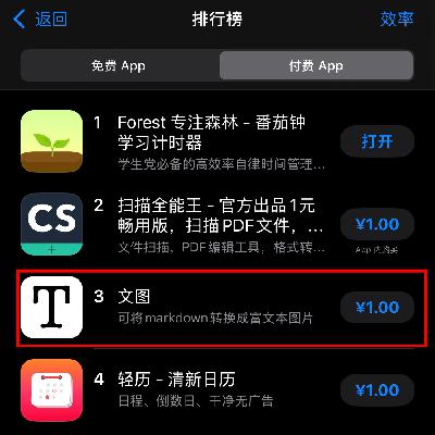 16.用AI开发APP登顶苹果付费榜第三，对话「文图」开发者