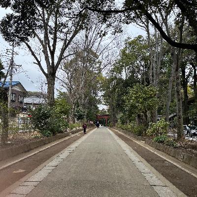 初仕事は大宮公園〜氷川神社リフレッシュラン