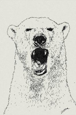 곰의 아주 나쁜 날 - The Bear's Big, Bad Day