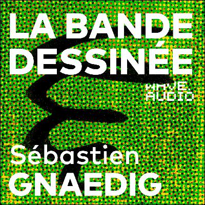 Sébastien Gnaedig : "C'est le parcours d'un naïf qui franchit la ligne rouge"