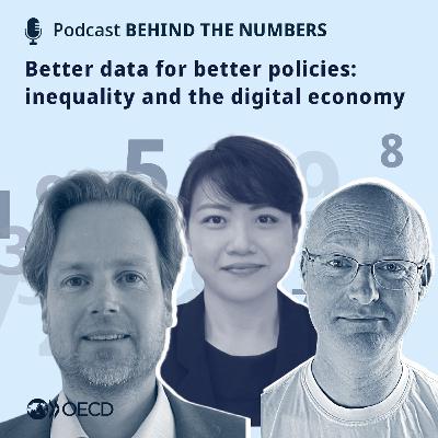 Better data for better policies: inequality and the digital economy