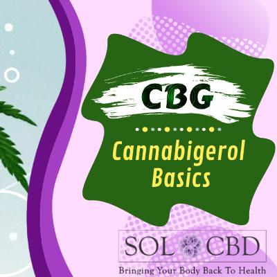 CBG 101: The Basics and Benefits of CBD's Cousin, Cannabigerol
