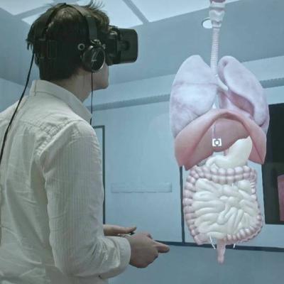 The pros and cons of anatomy class in virtual reality