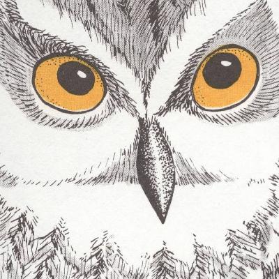 Sounds_of_the Mojave_Mix