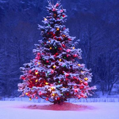 Motivation in Minutes: Christmas Time