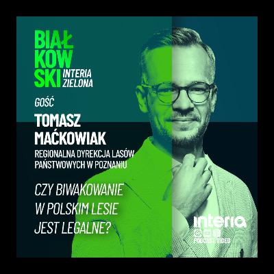Biwak w lesie. Na nielegalu czy zupełnie w porządku?