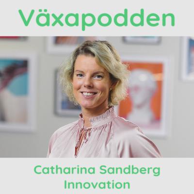Catharina Sandberg om innovation Catharina Sandberg om innovation