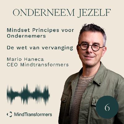 S5 - Mindset Principe #6 - De wet van vervanging