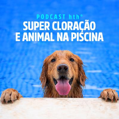 Episódio 12 - Supercloração e animal na piscina