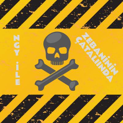 NGY İLE ZEBANİNİN ÇATALINDA ( FİKİR SİZSİNİZ PART-1) NGY İLE ZEBANİNİN ÇATALINDA ( FİKİR SİZSİNİZ PART-1)