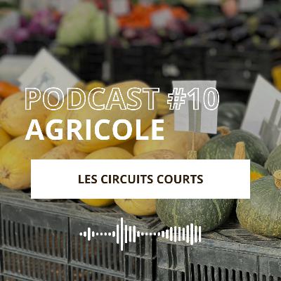 EPISODE #10 - Les Circuits Courts EPISODE #10 - Les Circuits Courts