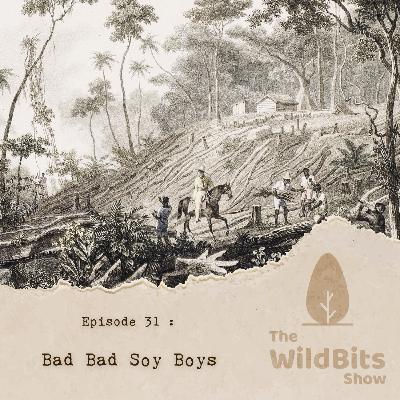 Bad Bad Soy Boys Bad Bad Soy Boys