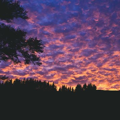 166太宰治「斜陽」後（朗読）