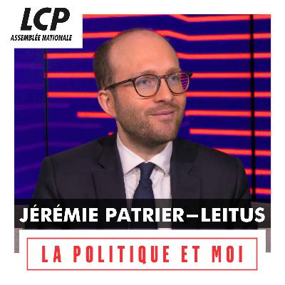 Jérémie Patrier-Leitus, député "Horizons & Indépendants" du Calvados | La politique et moi