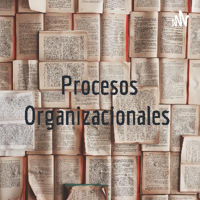 PROCESOS ORGANIZACIONALES