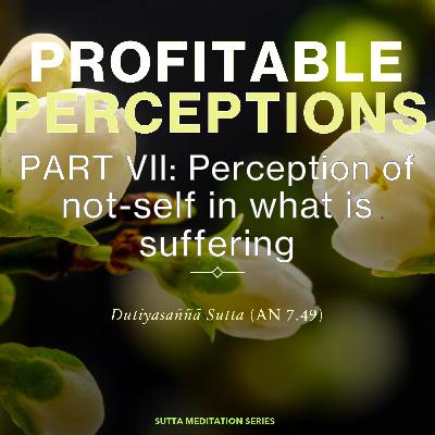 PROFITABLE PERCEPTIONS (PART VII) — Perception of not self in what is suffering