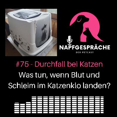 #75 - Durchfall bei Katzen