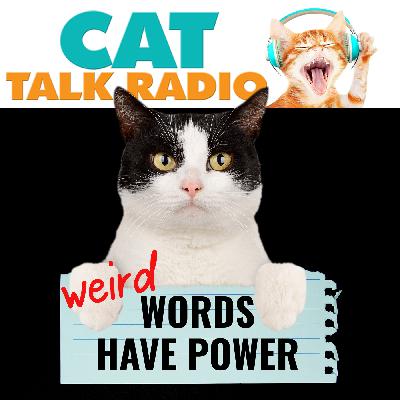 Fecal Euphoria, Sploots & Bunting: The Weird World of Cat Terms