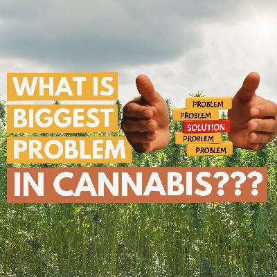 What is the number 1 problem in the cannabis industry? Ep 214