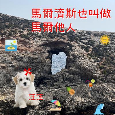 EP64 馬爾濟斯也叫做馬爾他人 汪汪