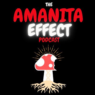 Ep8 The Spellbreaker on Amanita, Healing & Liberation w/ Brian D Ridgway