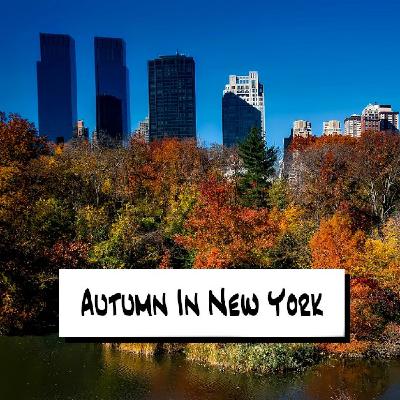 Autumn In New York