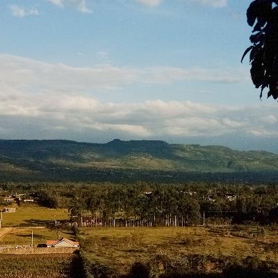 The Art Of Slowing Down. The Art Of Slowing Down.