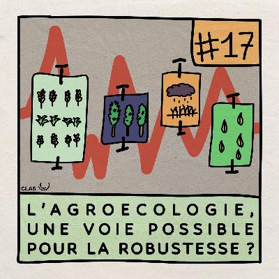 #17 - Agroécologie, une voie possible pour la robustesse ? (Olivier Hamant et Matthieu Calame)
